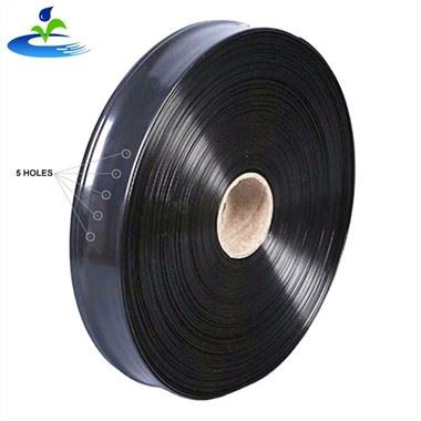 Bevattning av svart regnslang